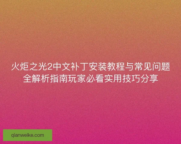 火炬之光2中文补丁安装教程与常见问题全解析指南玩家必看实用技巧分享