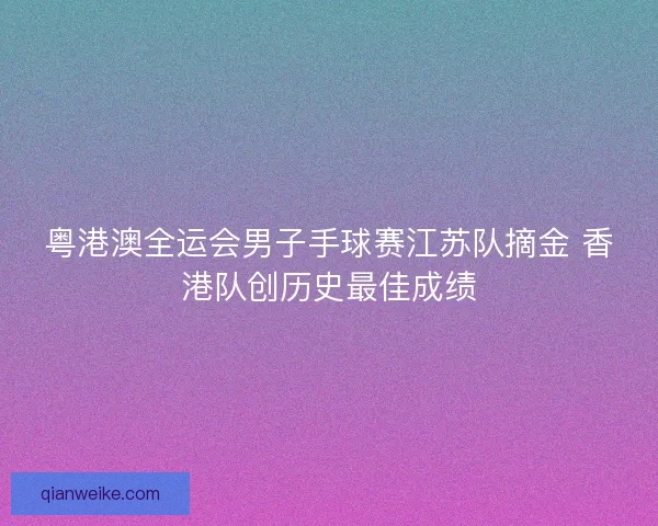 粤港澳全运会男子手球赛江苏队摘金 香港队创历史最佳成绩