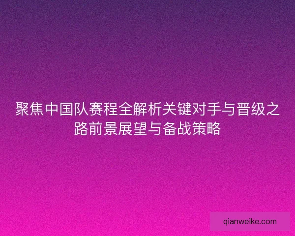 聚焦中国队赛程全解析关键对手与晋级之路前景展望与备战策略
